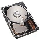 Lenovo 73GB Hot Swap SAS HDD internal hard drive 73.4 GB 15000 RPM 8 MB 3.5"