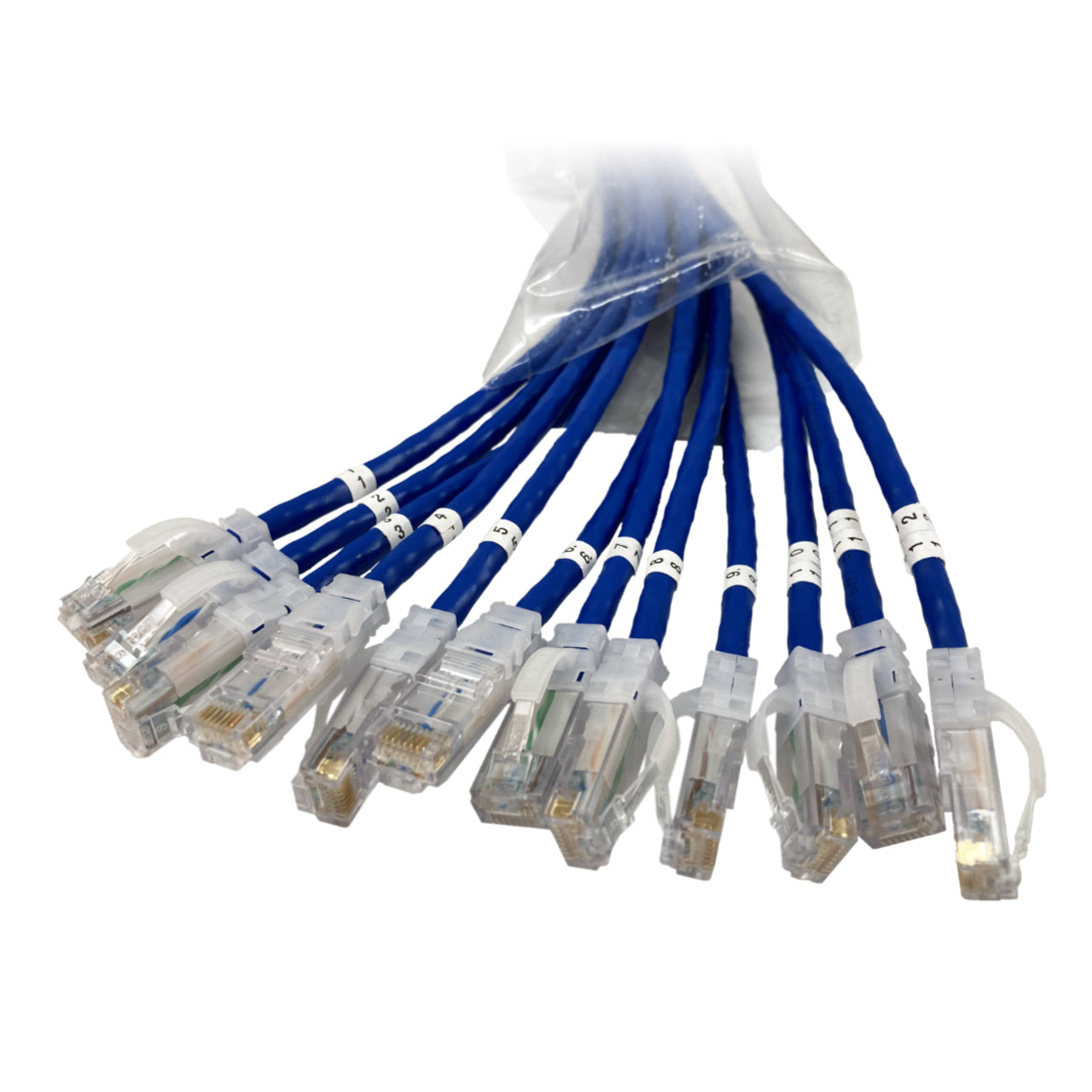 Legrand EZFPM6A03Q12-06 networking cable Blue 35.4" (0.9 m) Cat6a